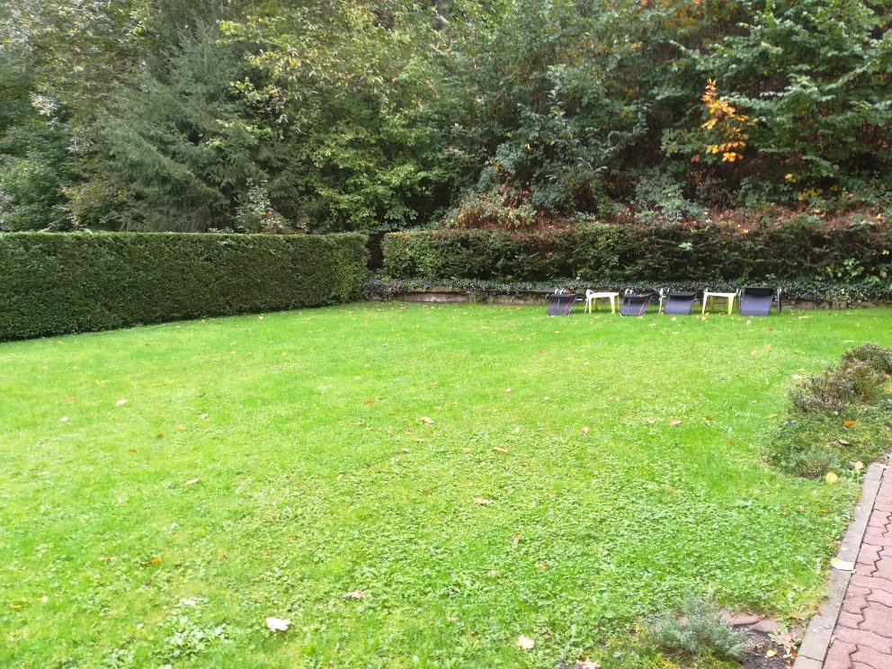 Hotel Goldbachel-官方