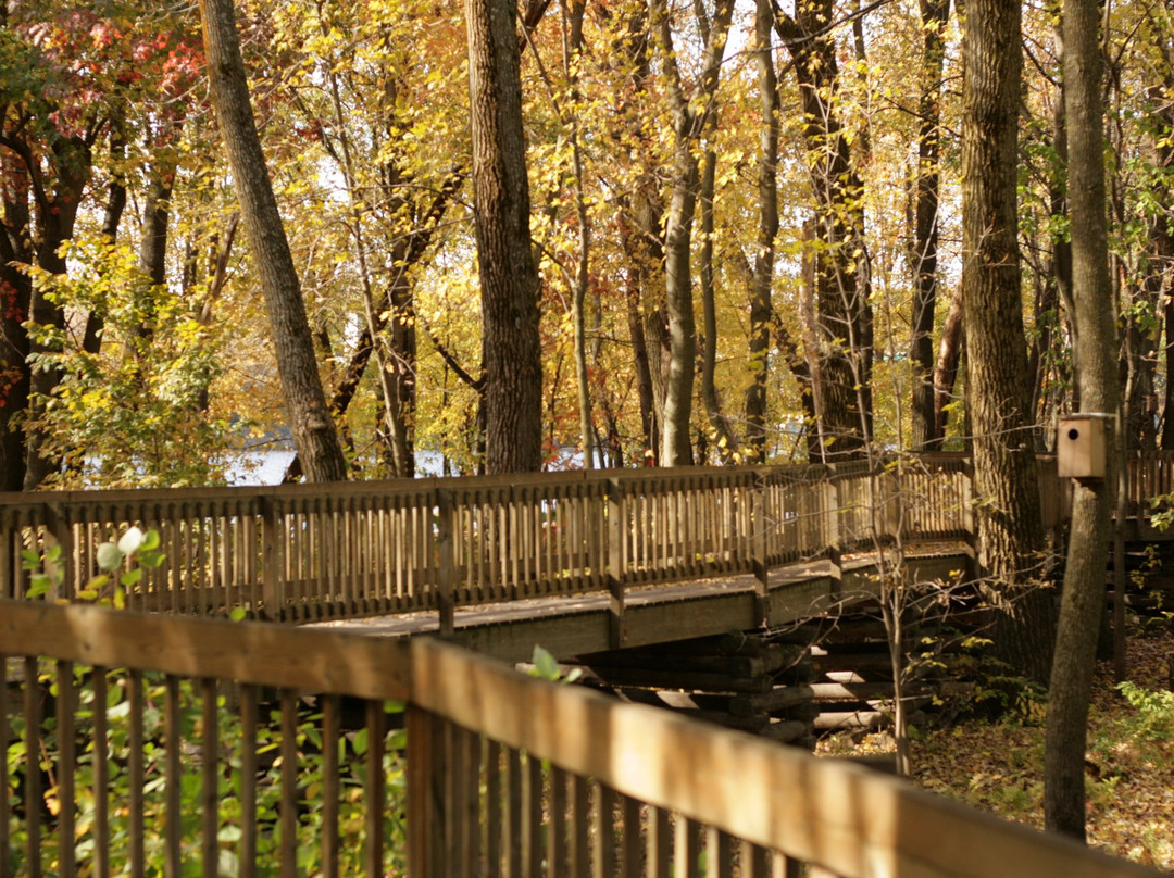 Parc de l'île Saint-Quentin
