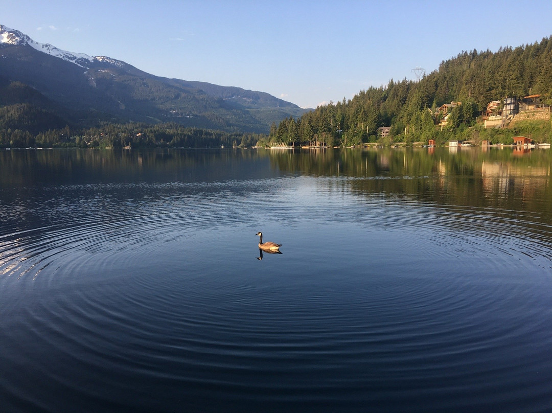 Alta Lake Park-惠斯勒必去景点