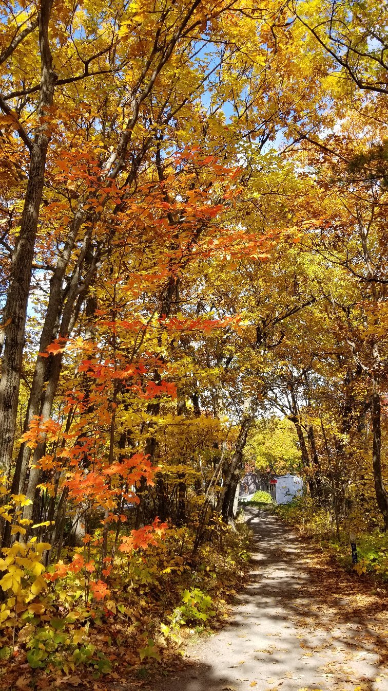 Gîte au Gré du Vent-官方