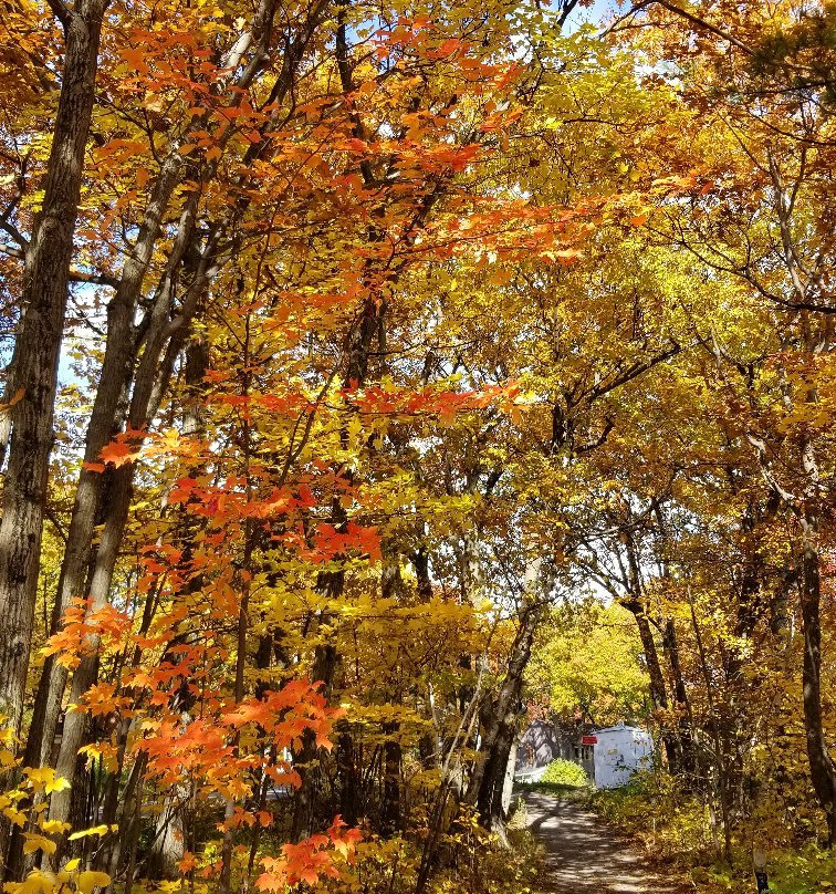 Gîte au Gré du Vent主图