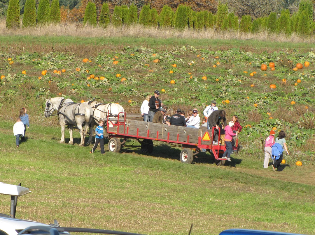 Olson Farms-Damascus必去景点