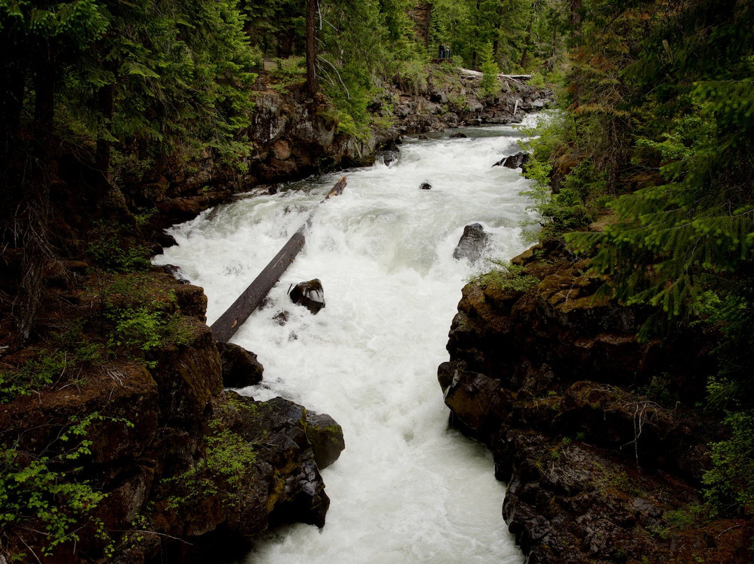 Prospect旅游景点-Natural Bridge Viewpoint