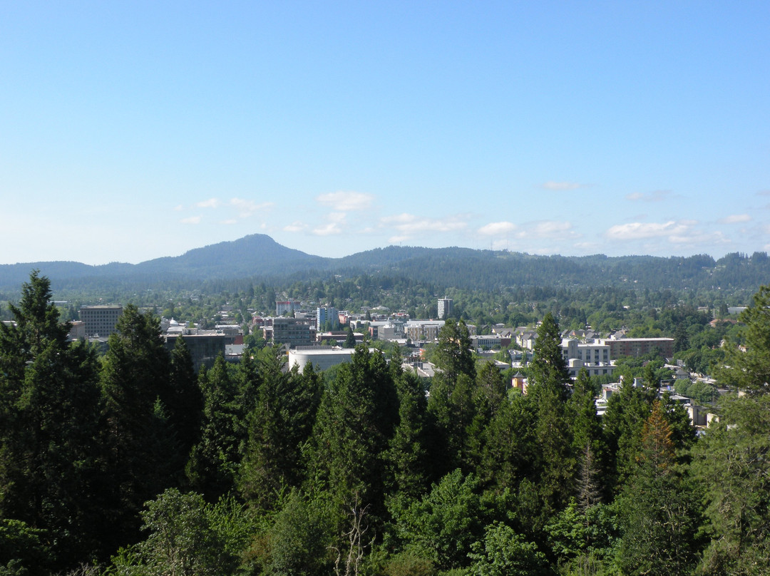 Skinner Butte Park景点图片