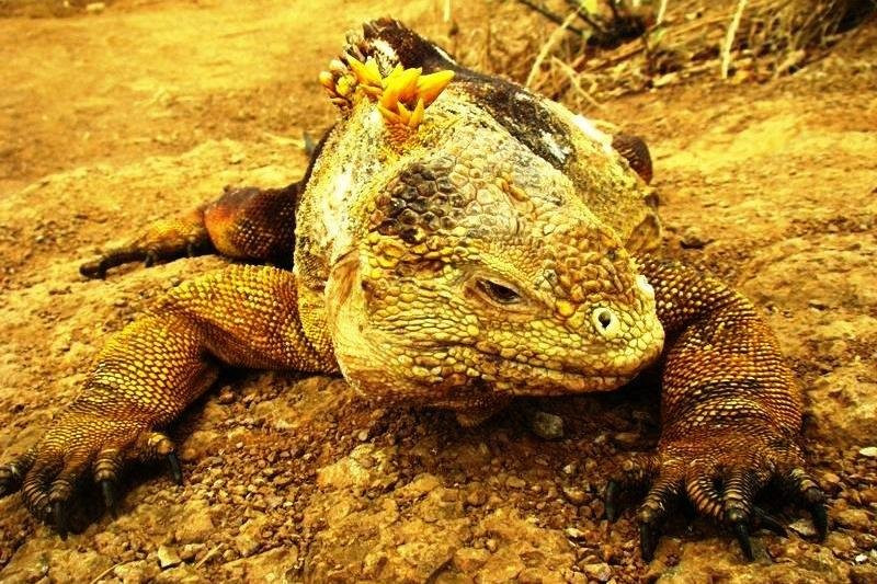 Dreamkapture Travel-Puerto Baquerizo Moreno必去景点