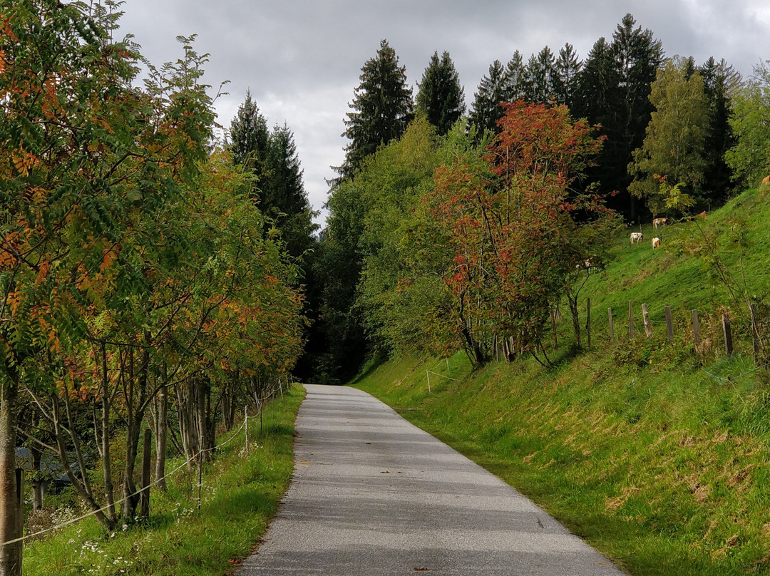 Hotel Metzgerwirt主图