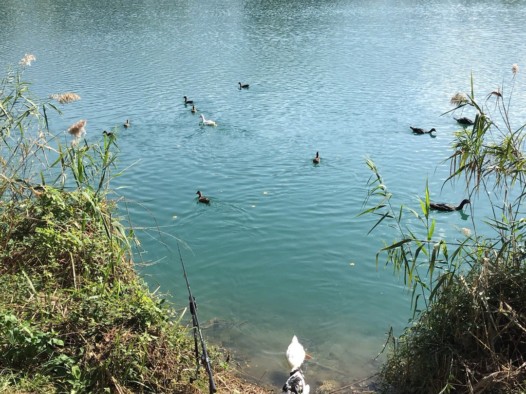 Lago di Telese景点图片