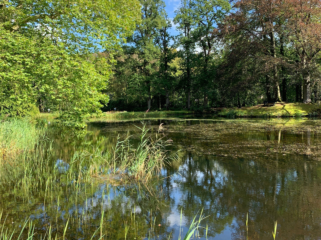 Park Vijversburg景点图片