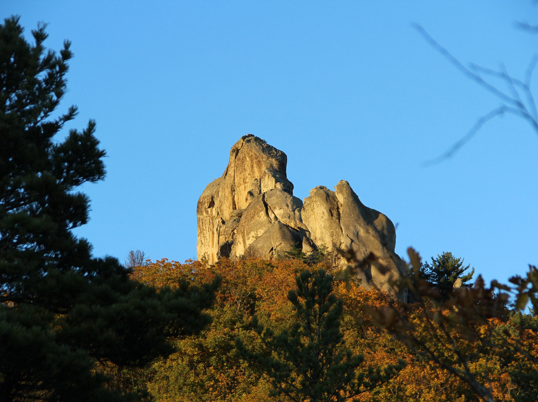 Dragon Park景点图片