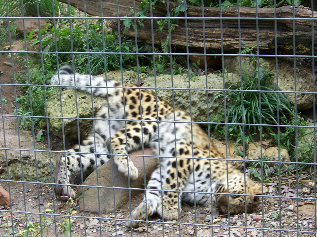 Catoctin Wildlife Preserve