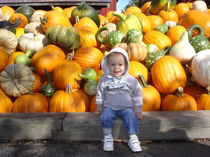 Bengtson's Pumpkin Farm景点图片