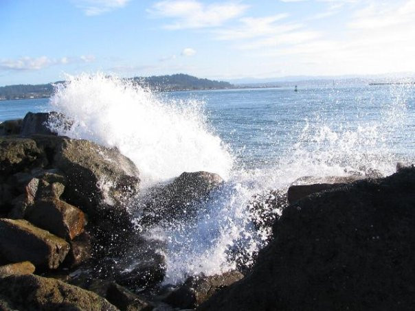 Humboldt Bay景点图片