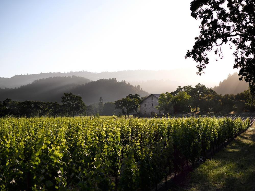 Ehlers Estate Winery景点图片