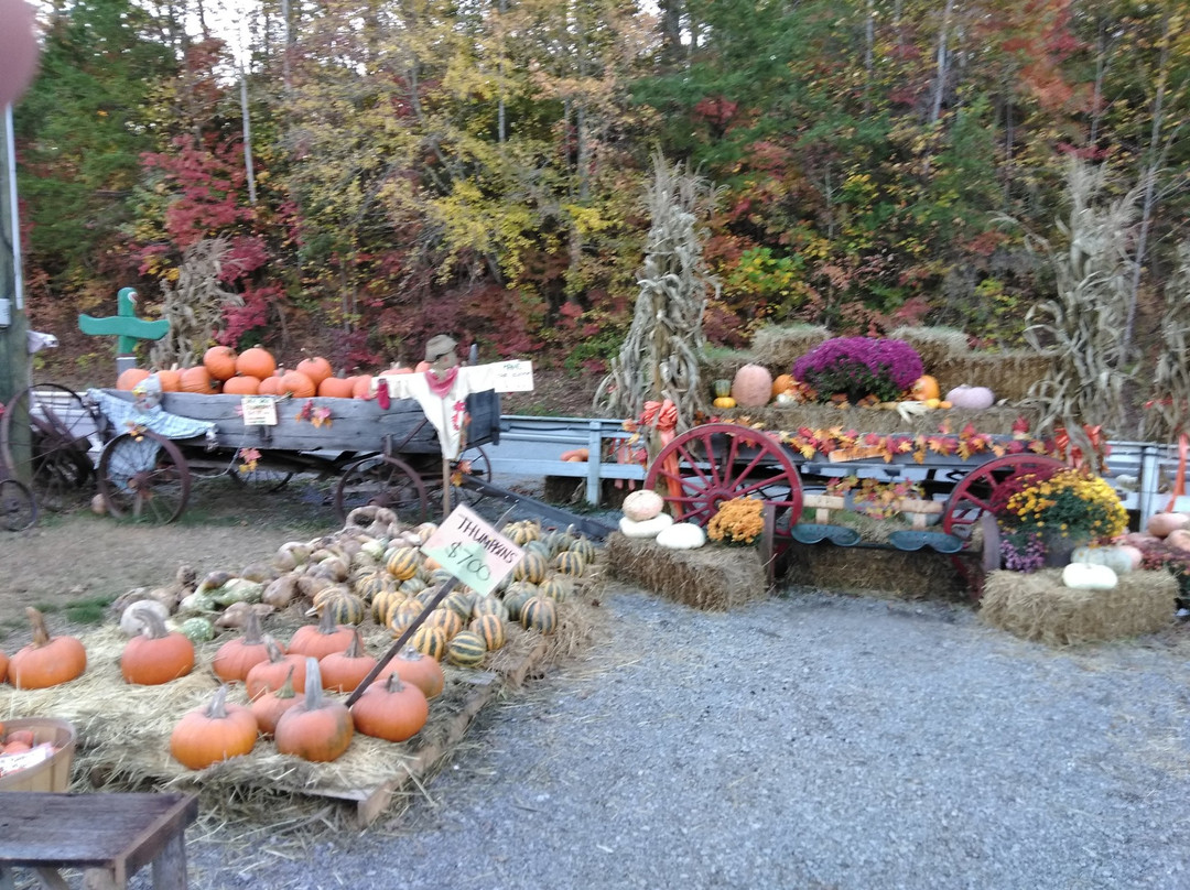 Harvest Moon Pumpkin Patch景点图片