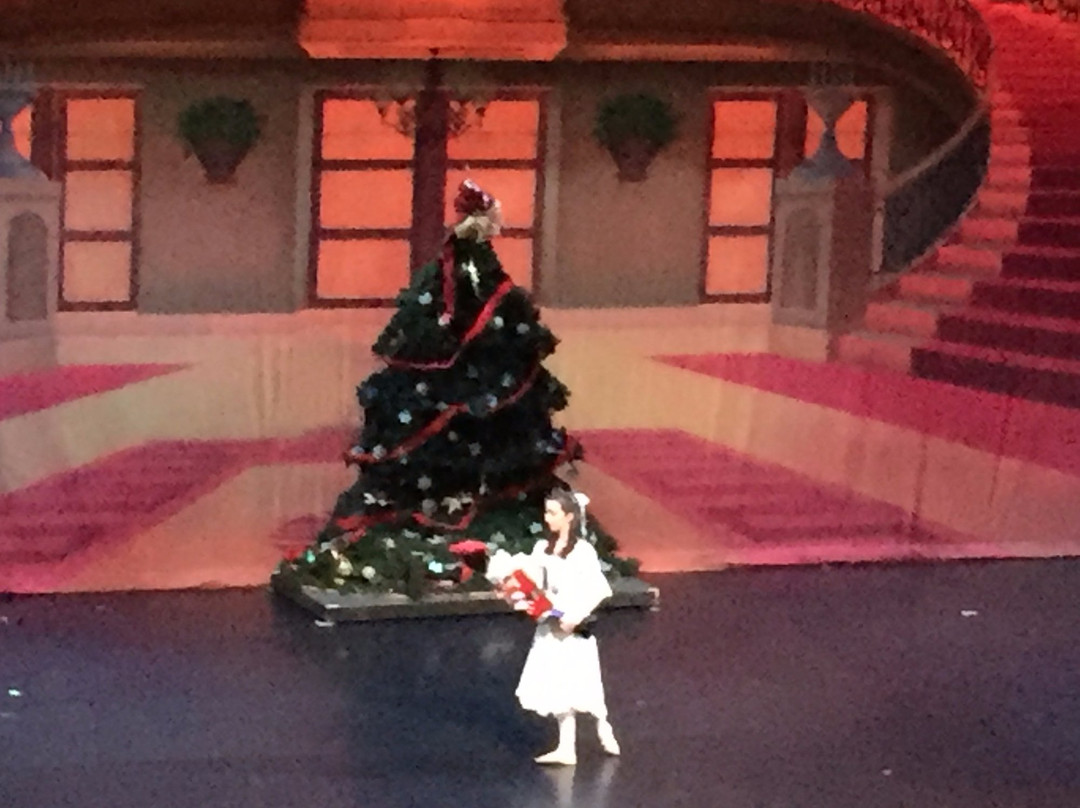 Koger Center-哥伦比亚必去景点