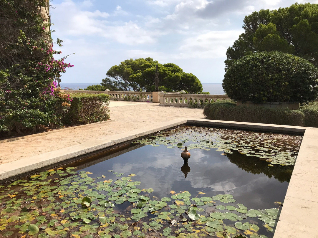 Sa Torre Cega-Cala Ratjada必去景点
