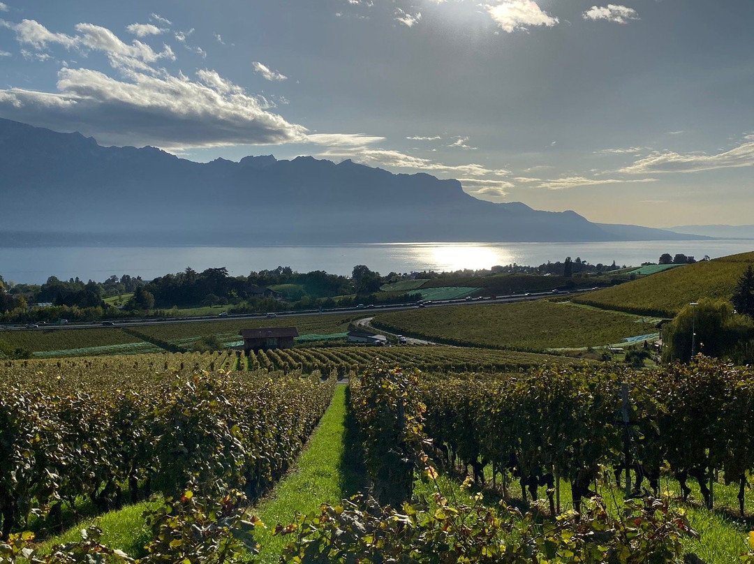 Swiss Panoramic Tours景点图片