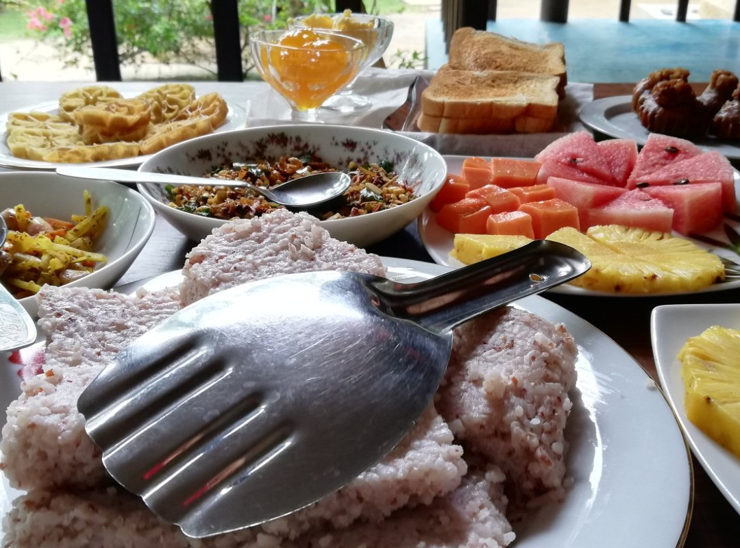 Turtles View Resort主图