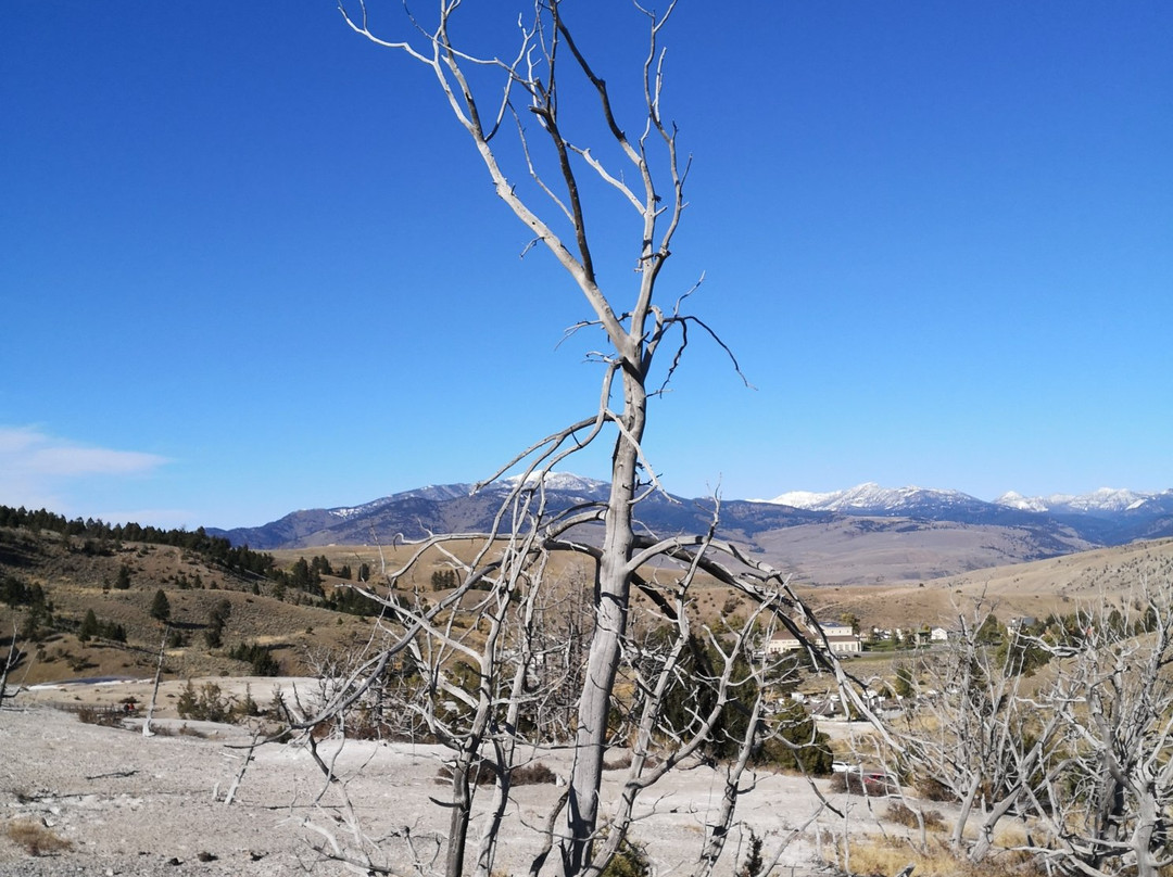 Yellowstone National Park景点图片