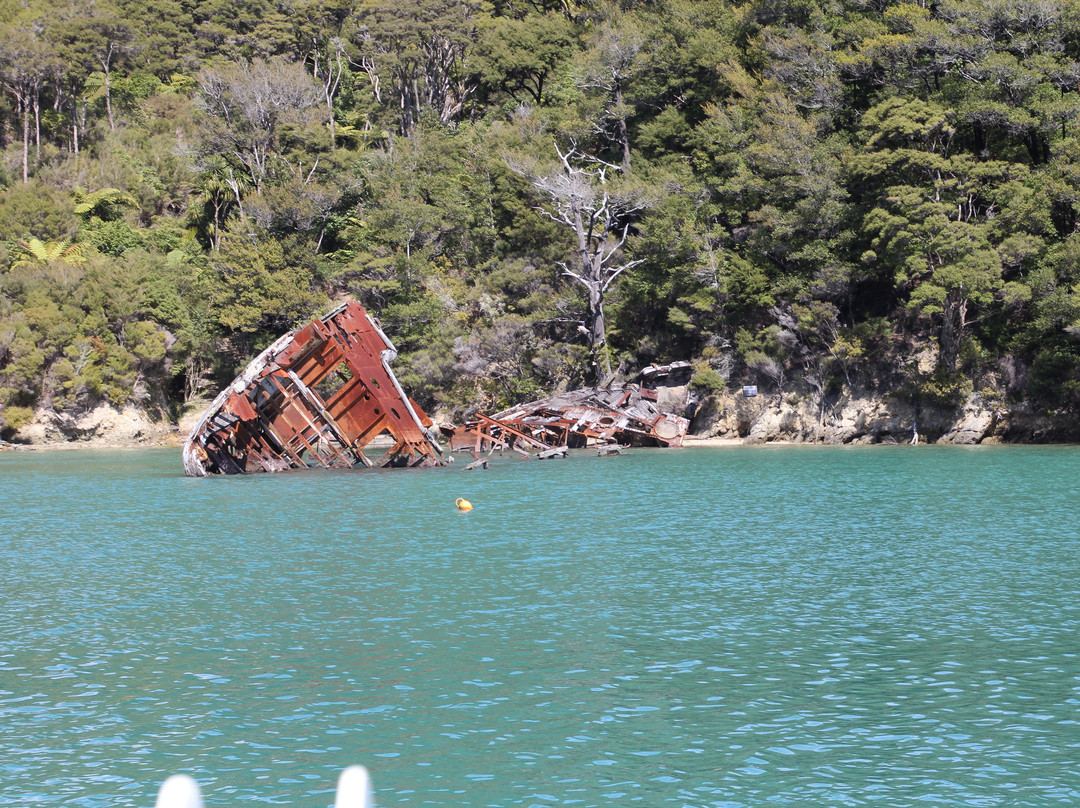 Pelorus Tours - Private Tours景点图片