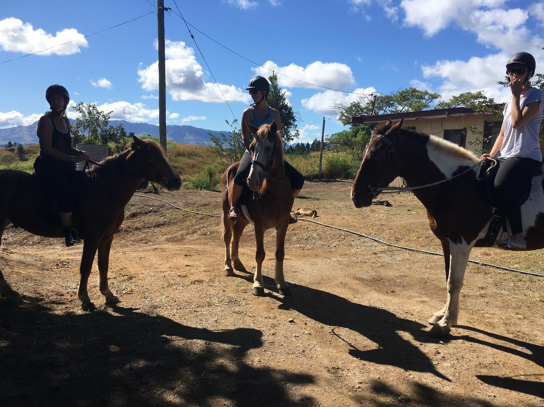 Fiji Horse Treks with Total Wellness Fiji-纳迪市必去景点