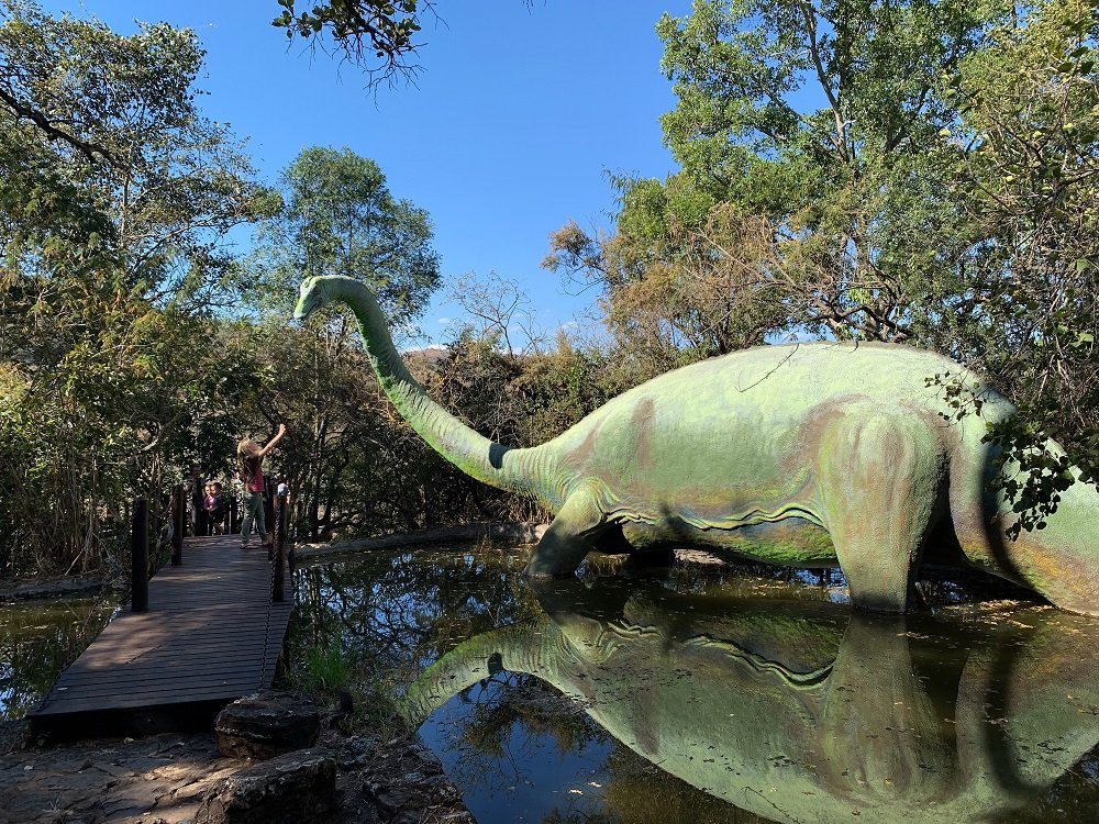 Sudwala Dinosaur Park-尼斯普鲁特必去景点