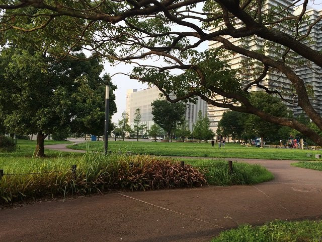 Takashima Chuo Park-Minatomirai必去景点
