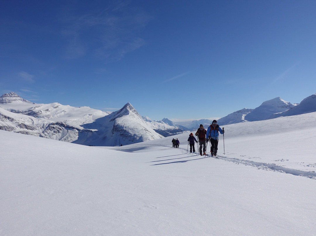 Canadian Adventure Company's Mallard Mountain Lodge-维尔蒙特必去景点