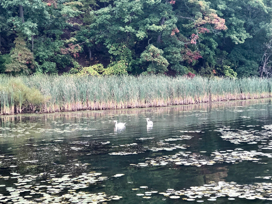 Genesee Riverway Trail景点图片