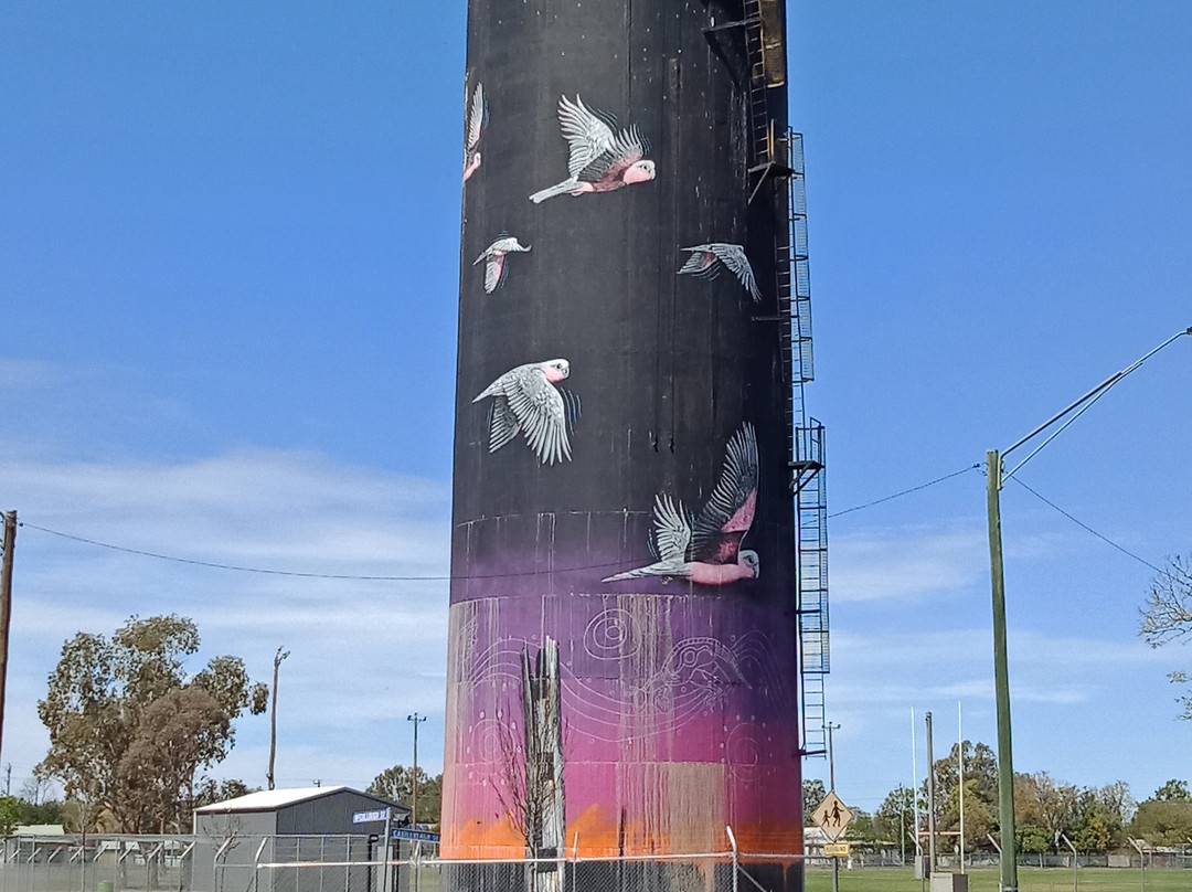 Coonamble Water Tower-Coonamble必去景点