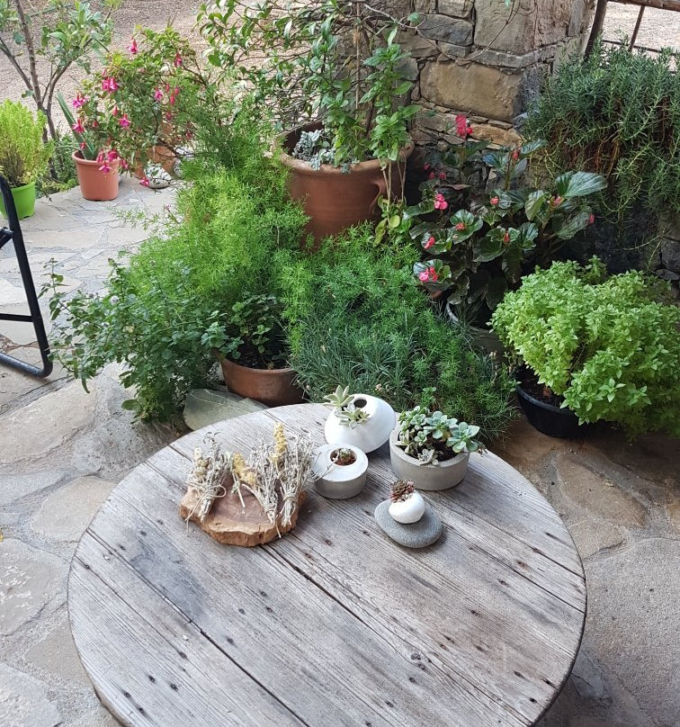 Althaea-Anatoli必去景点