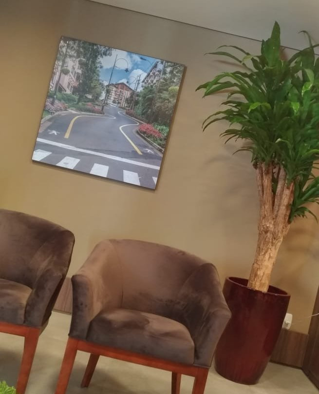 Hotel Fioreze Centro主图