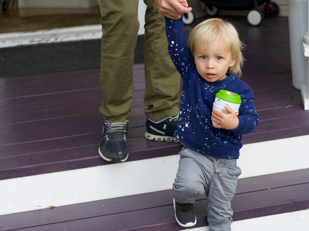 Bird House Inn and Gardens主图