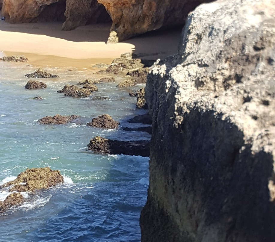 Pintadinho Beach景点图片