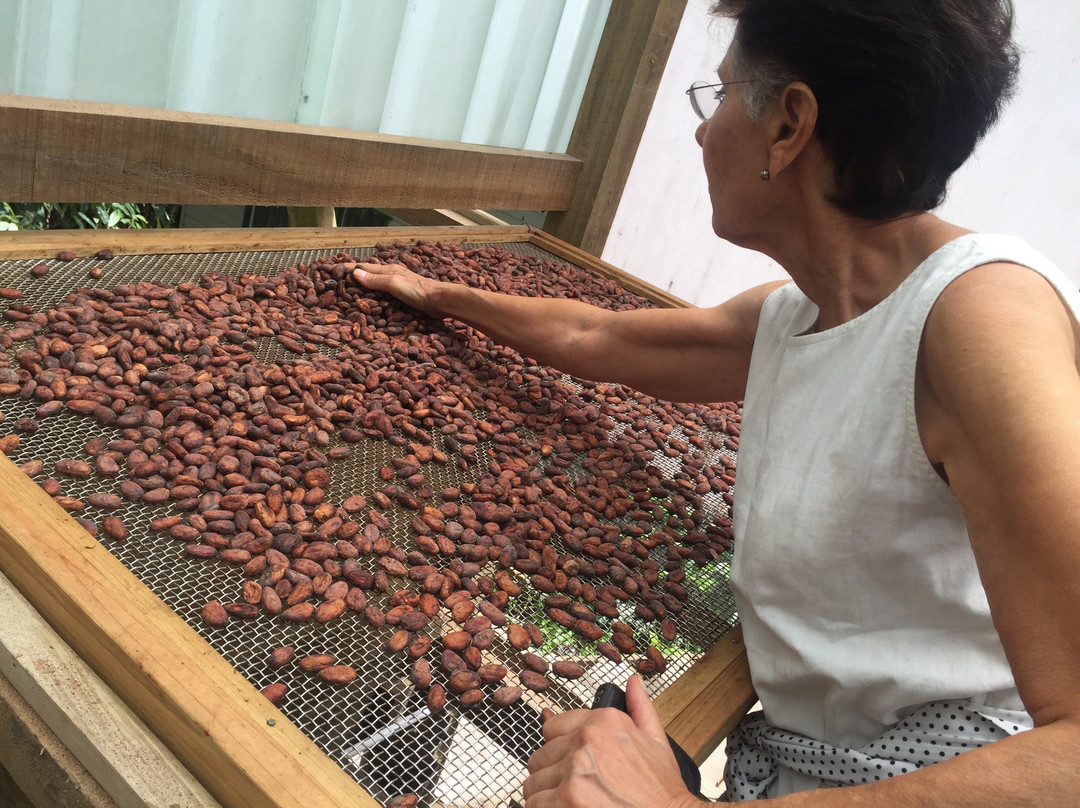 KokoMana-萨武萨武必去景点