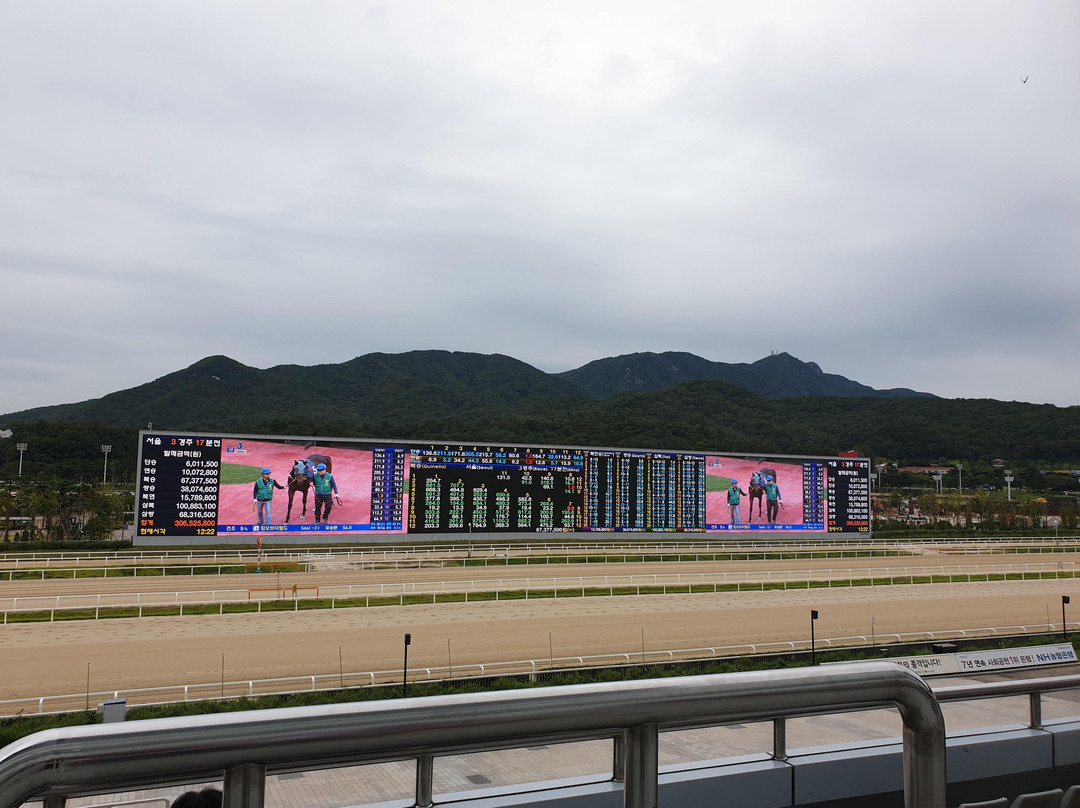 LetsRun Park Seoul(Seoul Racecourse Park)-果川市必去景点