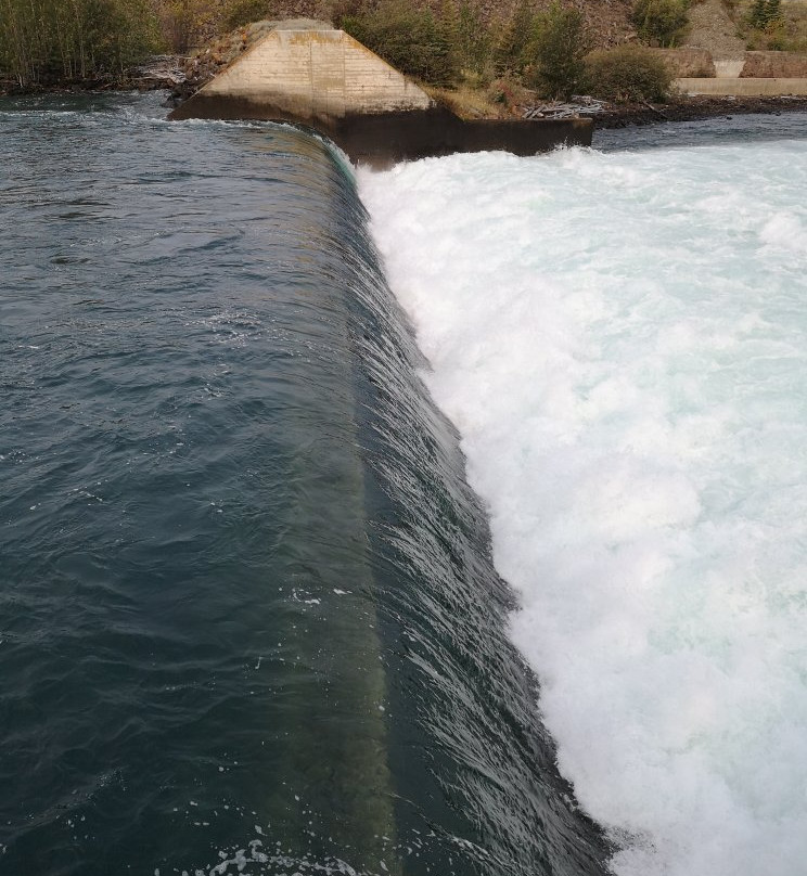 Whitehorse Fishway-白马市必去景点