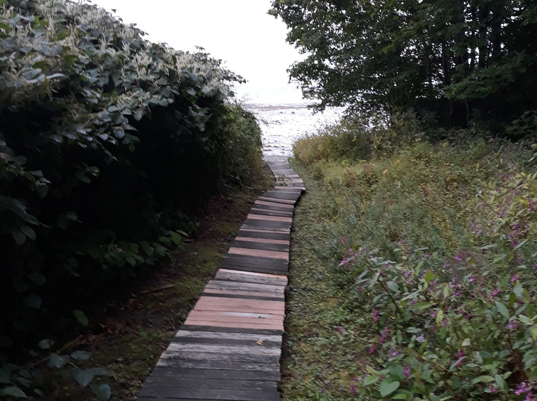 Claddagh Motel & Suites主图