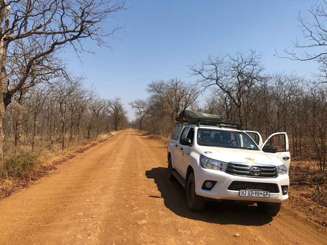 Limpopo National Park-Massingir必去景点