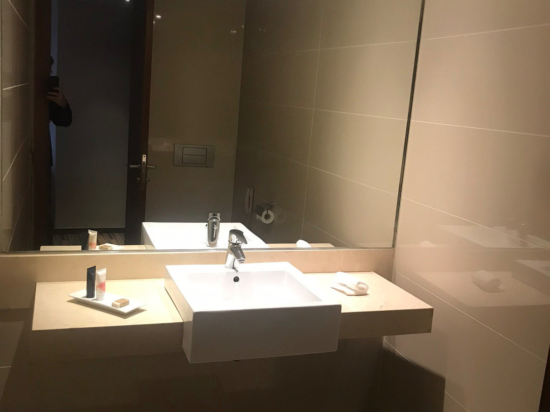 Hotel Dreams Araucania主图