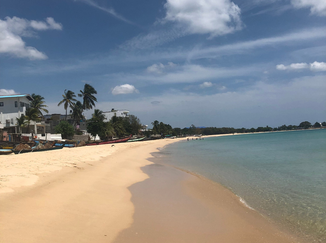 Trinco Blue Waves主图