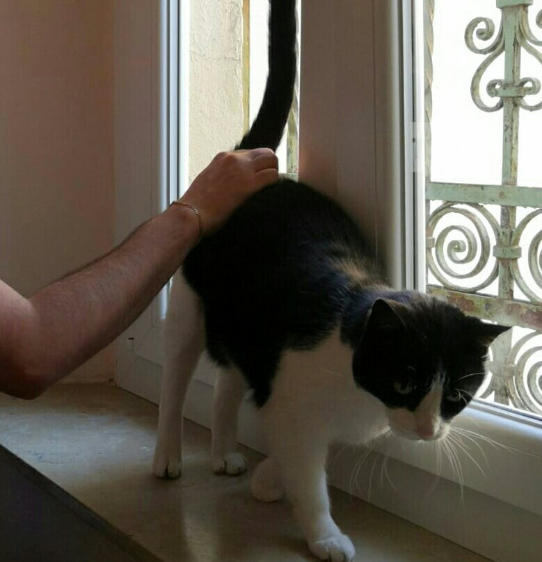 B&B La Terrazza主图