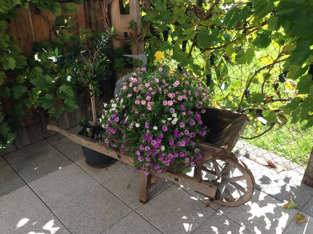 Weingut Flür-Tarrenz必去景点