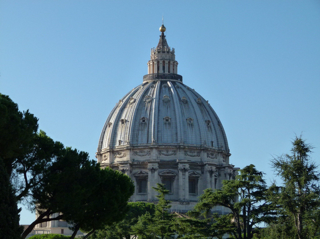 Tours of the Vatican with Francesco & his Team景点图片