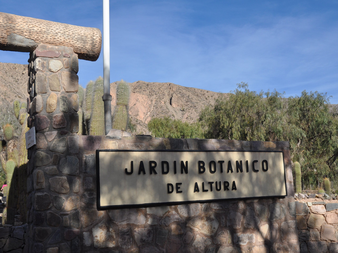 Jardin Botanico de Altura景点图片