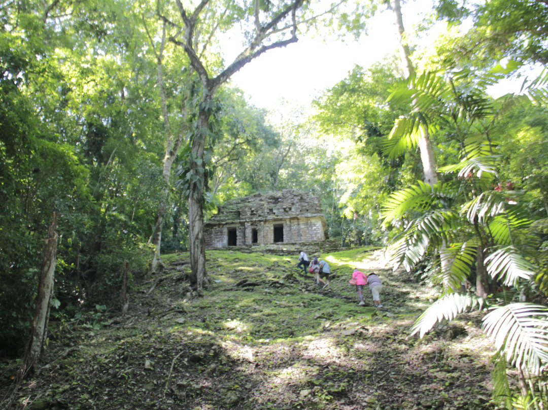 Zona Arqueológica de Yaxchilán景点图片