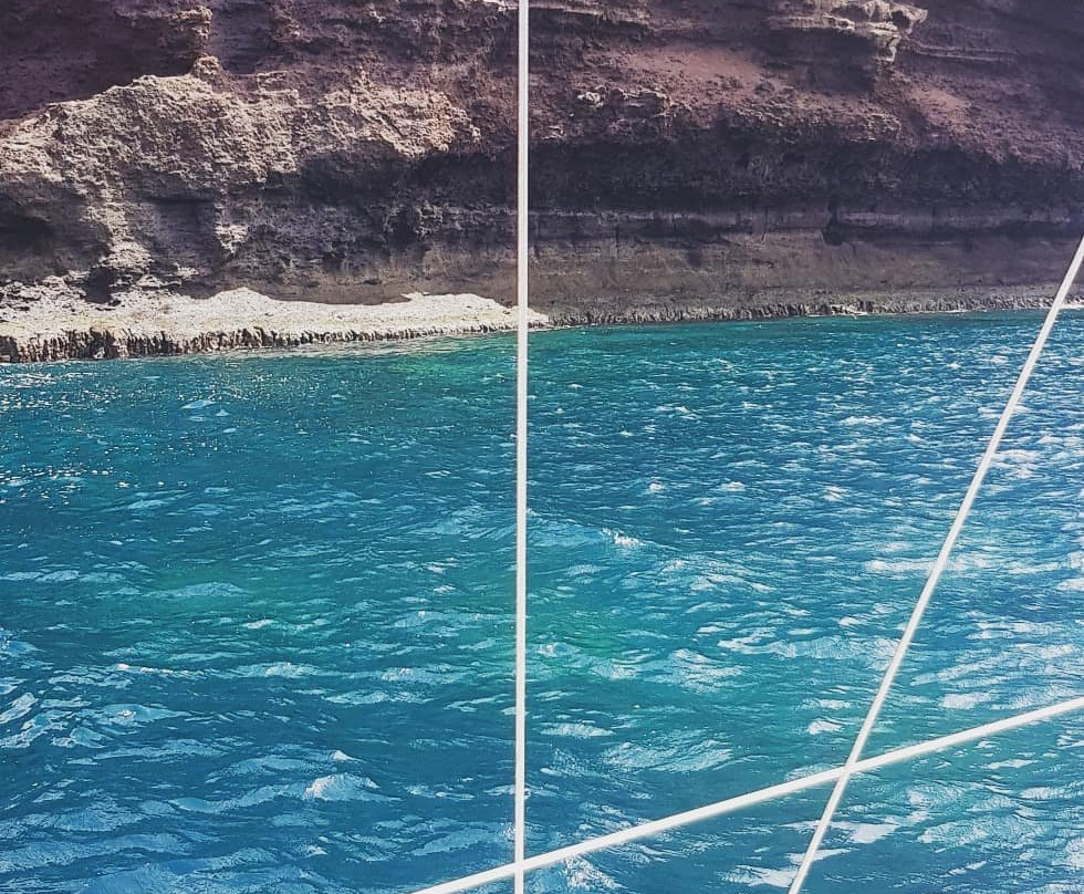 Sal Sea Safari-圣塔玛丽亚必去景点