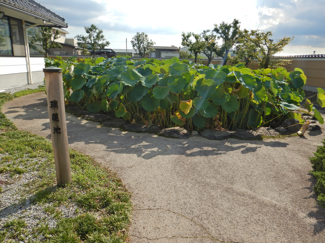 Omi Myoren Park, Omi Myoren Museum-守山市必去景点