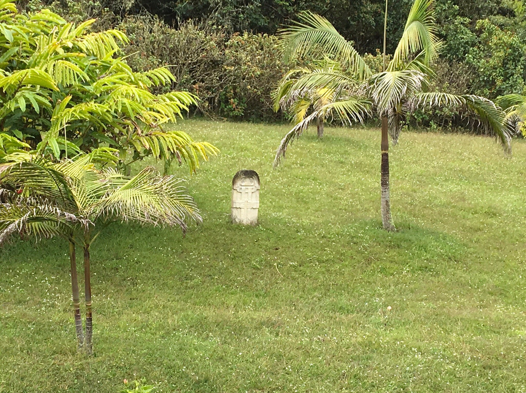 Finca El Cielo主图