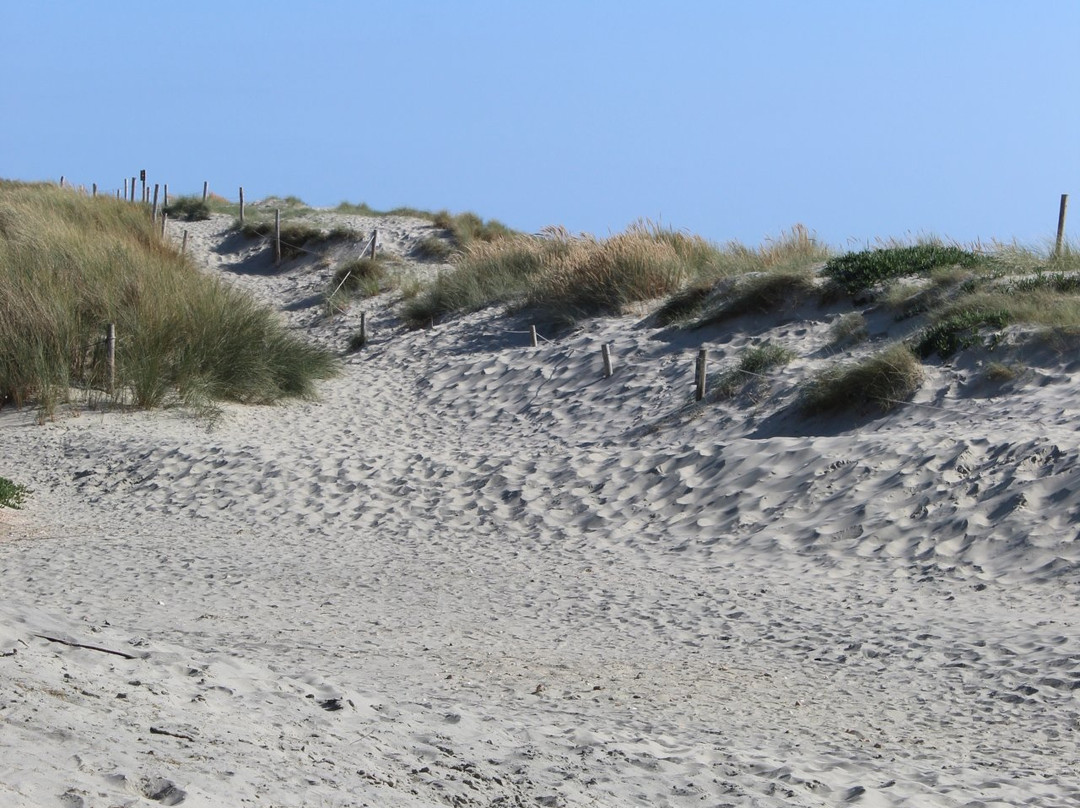West Wittering Beach-West Wittering必去景点